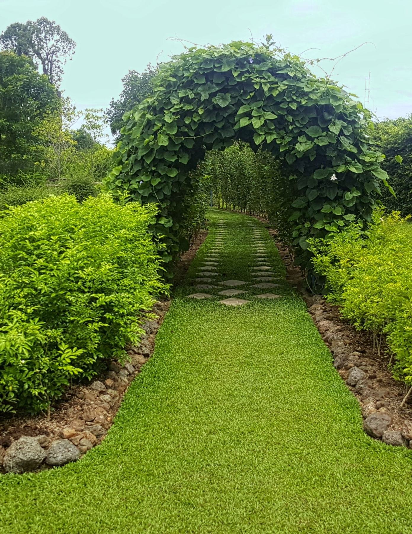 Jardin Espace Garden